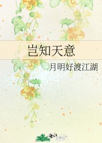 岂知天意