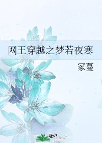《网王穿越之梦若夜寒》