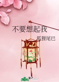 不要想起我