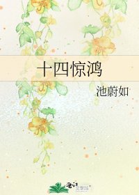 《十四惊鸿》