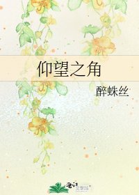 《仰望之角》