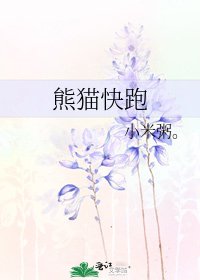 熊猫快跑