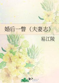 《婚后一瞥(夫妻志)》