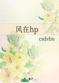 风在hp