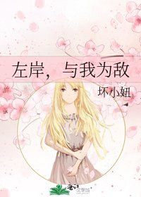 《左岸,与我为敌》