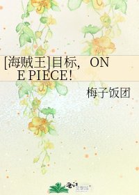 [海贼王]目标，ONE PIECE！