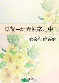 《总裁—玩弄鼓掌之中》