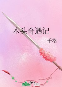《木头奇遇记》