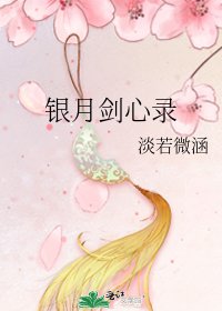 银月剑心录