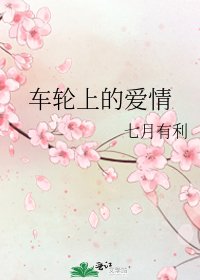 车轮上的爱情