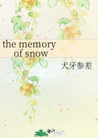 《the memory of snow》