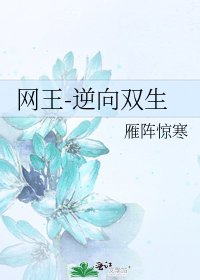《网王-逆向双生》