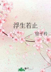 《浮生若止》