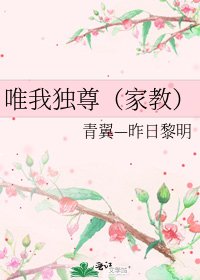 唯我独尊（家教）