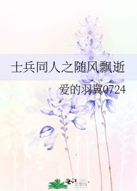 士兵同人之随风飘逝