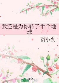 《我还是为你转了半个地球》