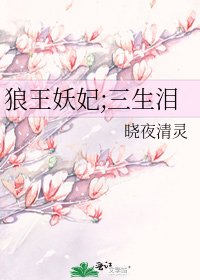 《狼王妖妃;三生泪》
