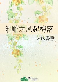 射雕之风起梅落