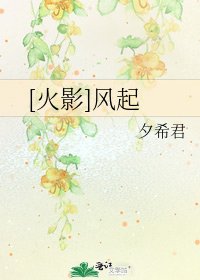 [火影]风起