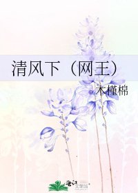 《清风下(网王)》