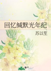 《回忆缄默光年纪》