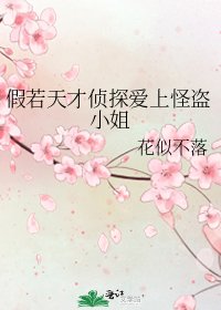 假若天才侦探爱上怪盗小姐