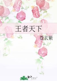 《王者天下》
