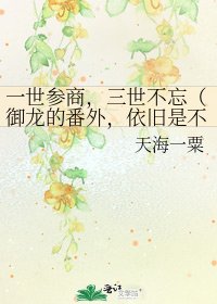 《一世参商,三世不忘(御龙的番外,依旧是不那么像番外的番外)》