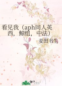 《看见我(aph同人英西,鲸组,中法)》
