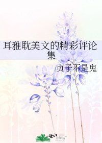 《耳雅耽美文的精彩评论集》