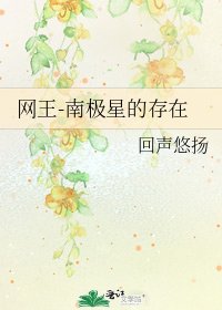 《网王-南极星的存在》