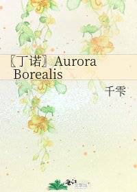 《〖丁诺〗Aurora Borealis》