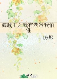 海贼王之我有老爸我怕谁