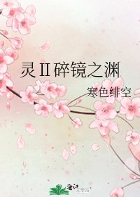 《灵Ⅱ碎镜之渊》