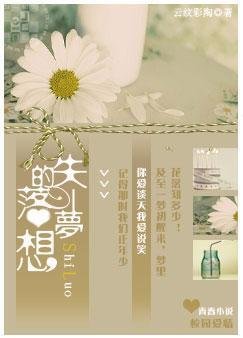 失落的梦想