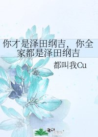 你才是泽田纲吉，你全家都是泽田纲吉