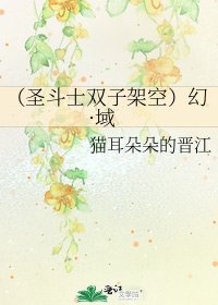 《(圣斗士双子架空)幻·域》