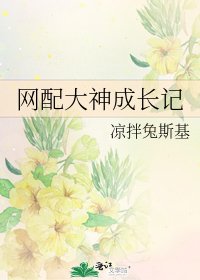 网配大神成长记