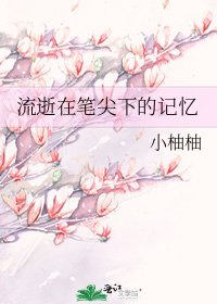 《流逝在笔尖下的记忆》