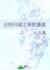 《正经归途之异世迷途》