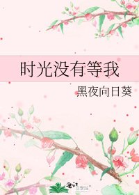 时光没有等我