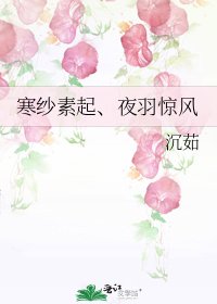 《寒纱素起、夜羽惊风》