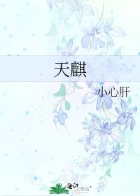 《天麒》