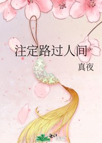 《注定路过人间》