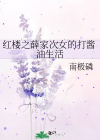 红楼之薛家次女的打酱油生活