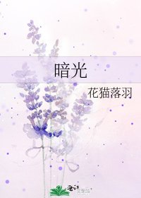《暗光》