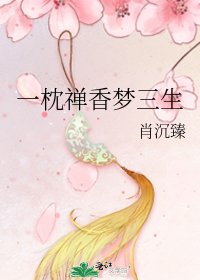 《一枕禅香梦三生》