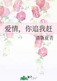 《爱情,你追我赶》