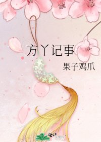 《方丫记事》