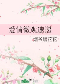 爱情微观速递